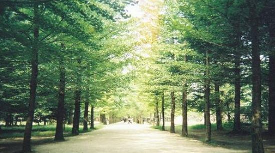 韓國旅遊景點